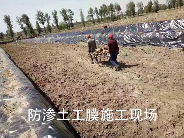 園林綠化建設(shè)可選擇防滲土工膜鋪設(shè) 園林綠化建設(shè)可選擇防滲土工膜鋪設(shè)