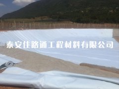 HDPE復(fù)合土工膜購買過程需要注意哪些細節(jié)要點？