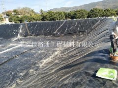 鋪設(shè)施工魚(yú)塘防滲膜