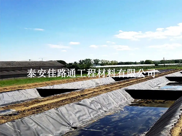 魚(yú)塘防滲土工膜：魚(yú)兒成長(zhǎng)的雙刃劍？