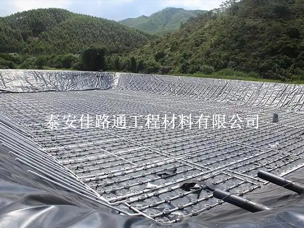水產養(yǎng)殖新寵:防滲土工膜帶來革命性變革 水產養(yǎng)殖新寵:防滲土工膜帶來革命性變革